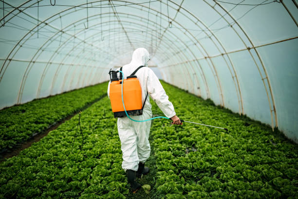 Best Mosquito Control Services  in Jessup, MD