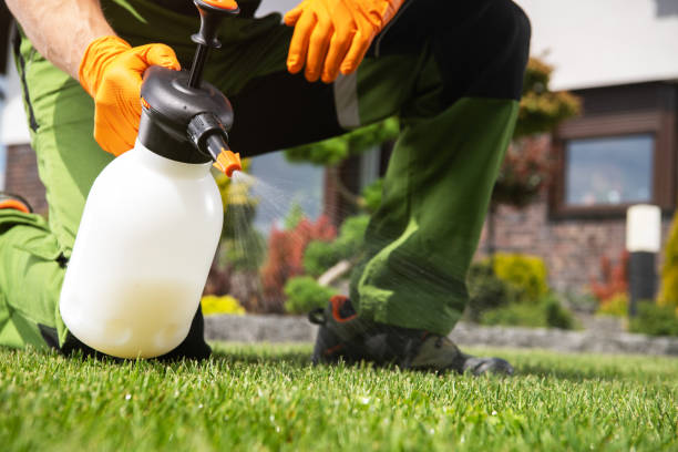 Best Wildlife Control Services  in Jessup, MD