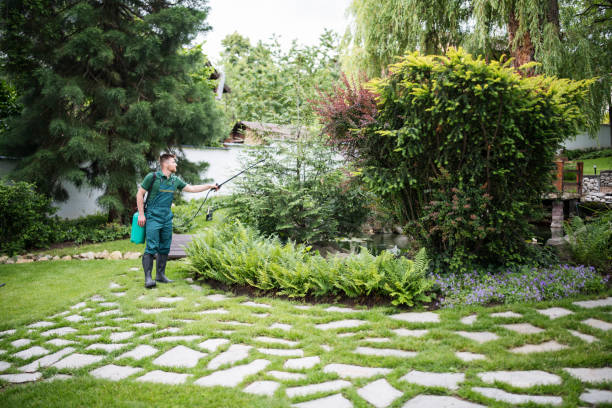 Trusted Jessup, MD Pest Control Experts