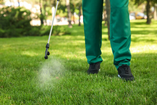 Best Wasp Removal Services  in Jessup, MD