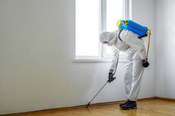 Flea Control Services in Jessup, MD