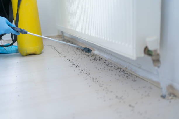 Best Best Pest Control Companies  in Jessup, MD