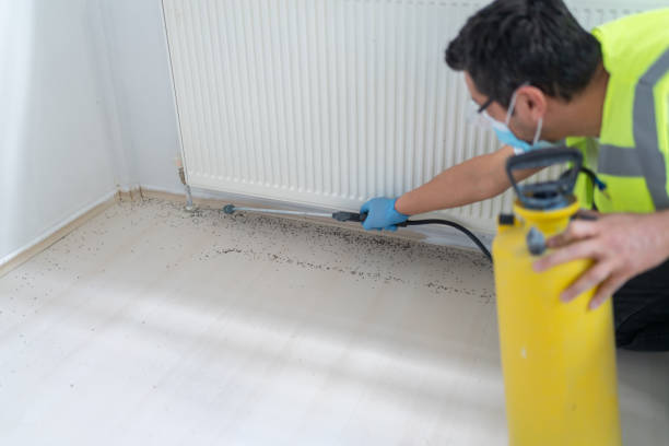 Best Emergency Pest Control  in Jessup, MD