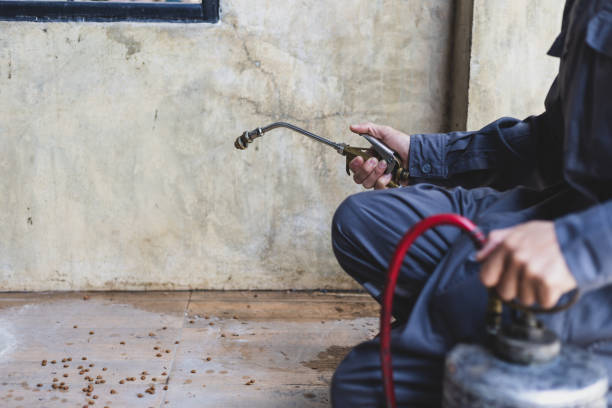 Best Affordable Exterminators  in Jessup, MD